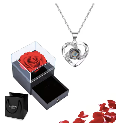 Projection Necklace Set With Rose Gift Box